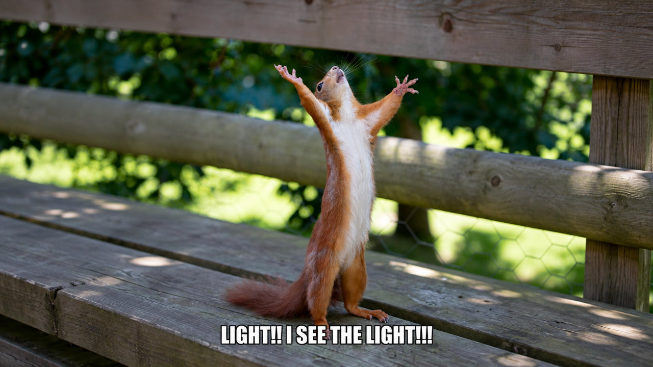 Light I see Light meme